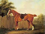 Famous Hunter Paintings - A Chestnut Hunter Tethered to a Fence